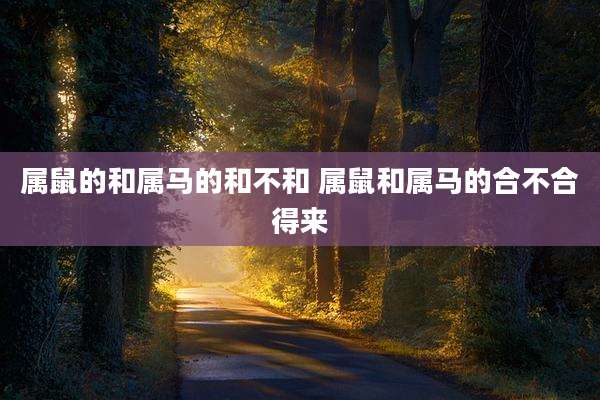 属鼠的和属马的和不和 属鼠和属马的合不合得来