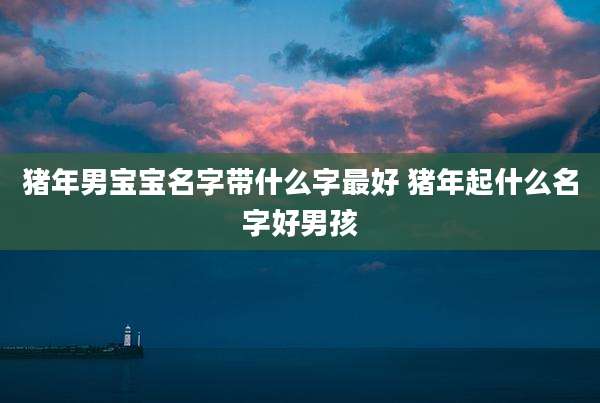 猪年男宝宝名字带什么字最好 猪年起什么名字好男孩