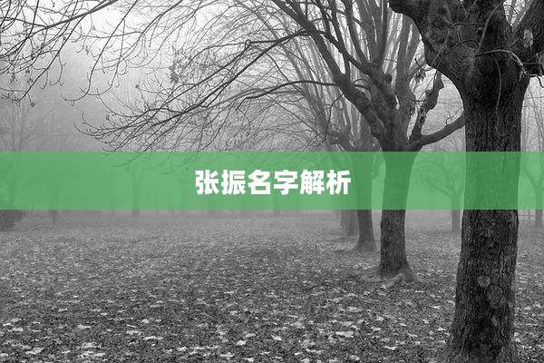 张振名字解析