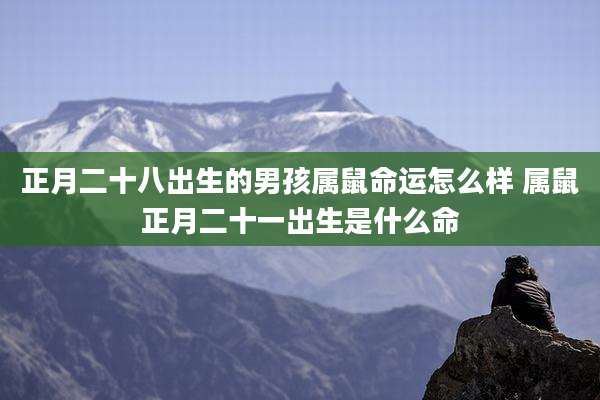 正月二十八出生的男孩属鼠命运怎么样 属鼠正月二十一出生是什么命