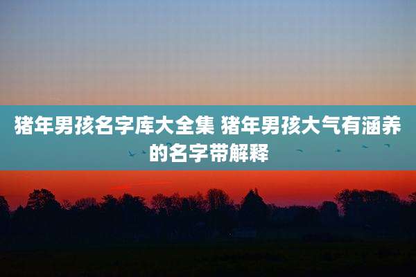 猪年男孩名字库大全集 猪年男孩大气有涵养的名字带解释