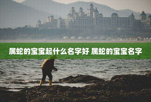 属蛇的宝宝起什么名字好 属蛇的宝宝名字