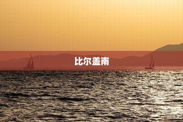 比尔盖南