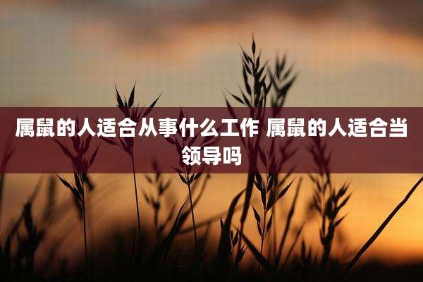 属鼠的人适合从事什么工作 属鼠的人适合当领导吗
