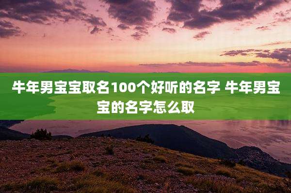 牛年男宝宝取名100个好听的名字 牛年男宝宝的名字怎么取