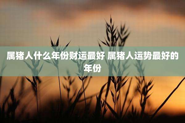 属猪人什么年份财运最好 属猪人运势最好的年份