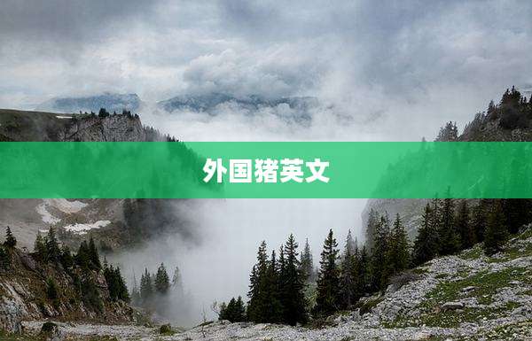 外国猪英文
