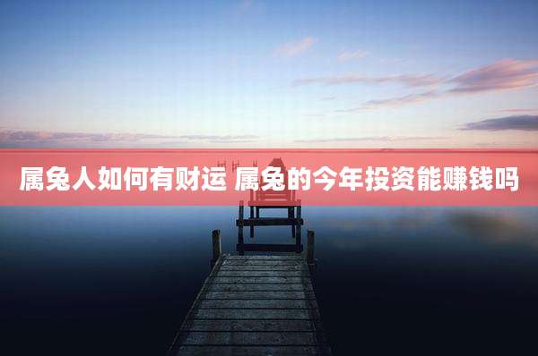 属兔人如何有财运 属兔的今年投资能赚钱吗