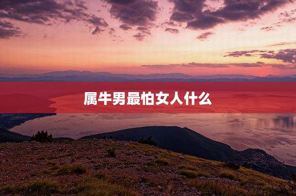 属牛男最怕女人什么