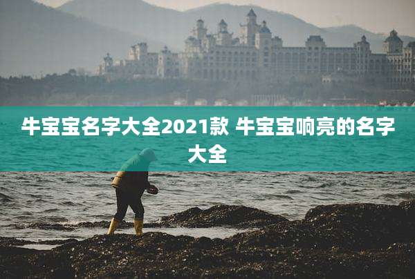 牛宝宝名字大全2021款 牛宝宝响亮的名字大全