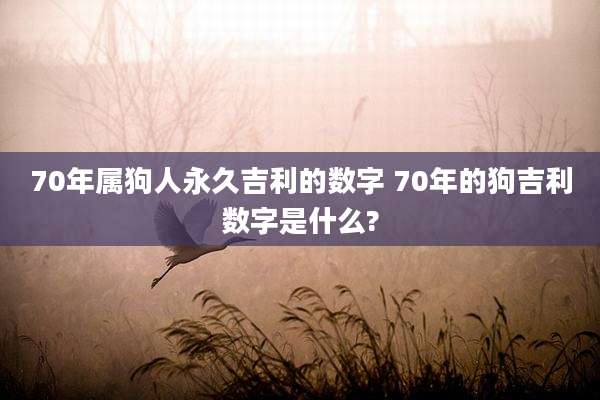 70年属狗人永久吉利的数字 70年的狗吉利数字是什么?