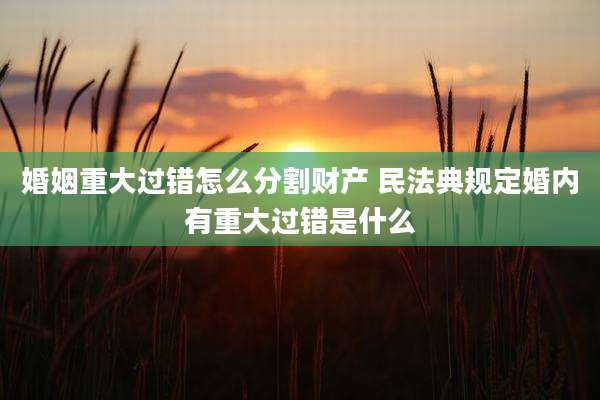 婚姻重大过错怎么分割财产 民法典规定婚内有重大过错是什么