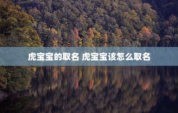虎宝宝的取名 虎宝宝该怎么取名