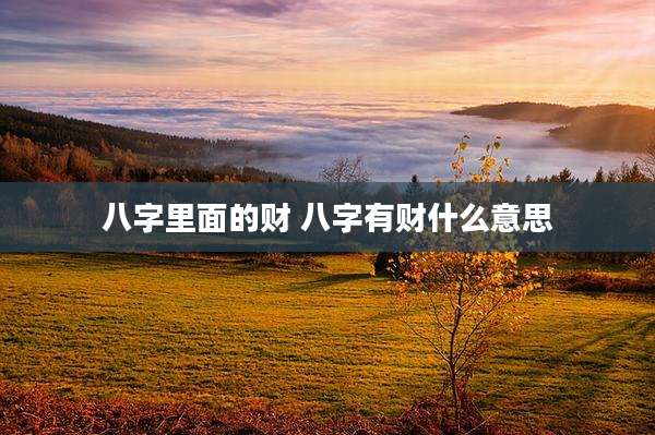 八字里面的财 八字有财什么意思