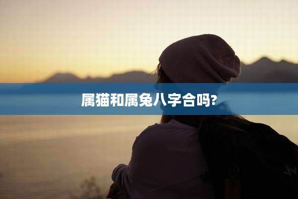 属猫和属兔八字合吗?