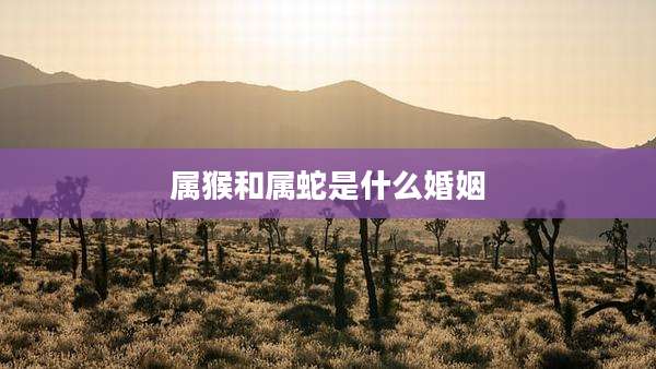 属猴和属蛇是什么婚姻