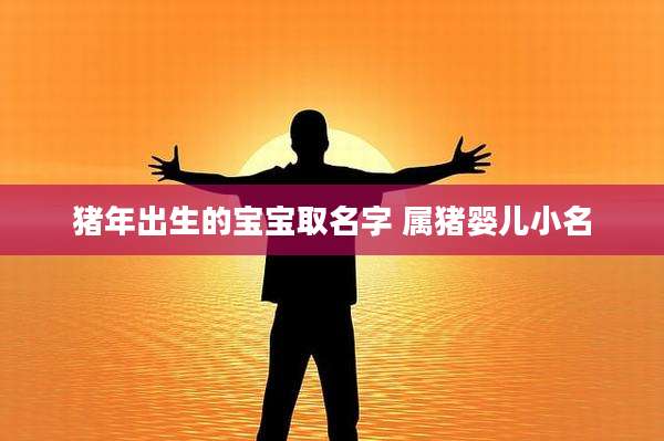 猪年出生的宝宝取名字 属猪婴儿小名