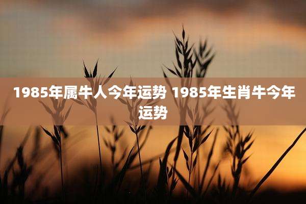 1985年属牛人今年运势 1985年生肖牛今年运势