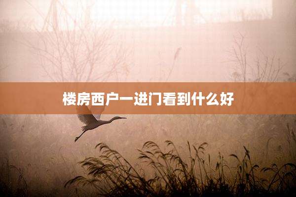 楼房西户一进门看到什么好