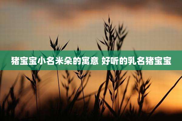 猪宝宝小名米朵的寓意 好听的乳名猪宝宝