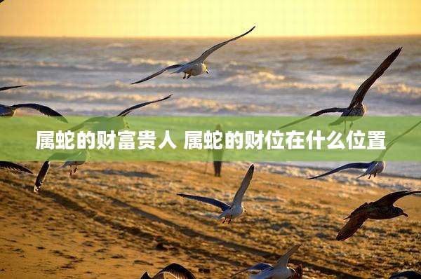 属蛇的财富贵人 属蛇的财位在什么位置