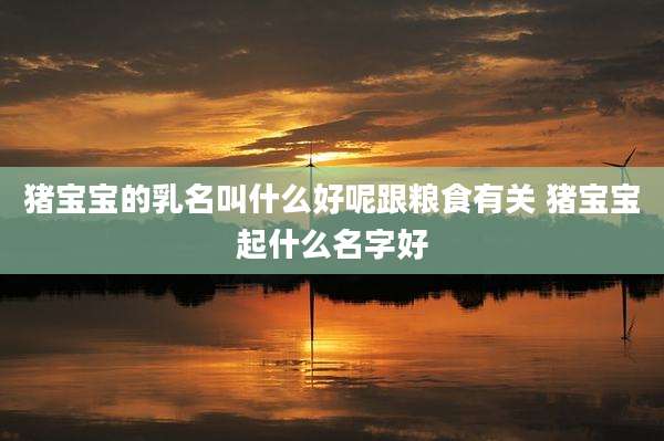 猪宝宝的乳名叫什么好呢跟粮食有关 猪宝宝起什么名字好