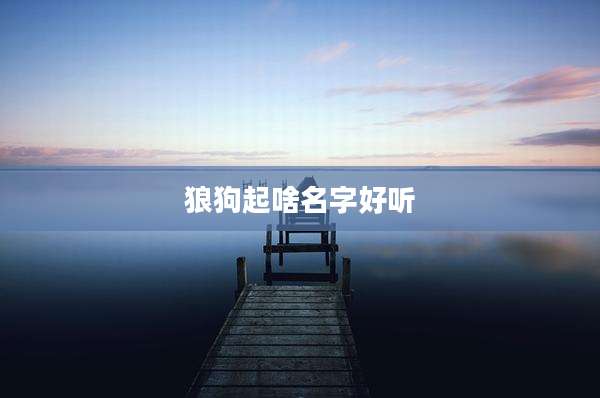 狼狗起啥名字好听
