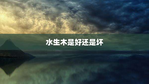 水生木是好还是坏