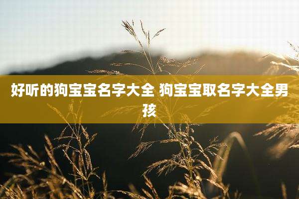 好听的狗宝宝名字大全 狗宝宝取名字大全男孩