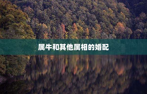 属牛和其他属相的婚配
