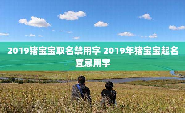 2019猪宝宝取名禁用字 2019年猪宝宝起名宜忌用字