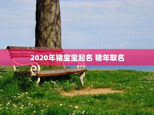 2020年猪宝宝起名 猪年取名