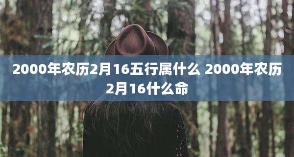 2000年农历2月16五行属什么 2000年农历2月16什么命