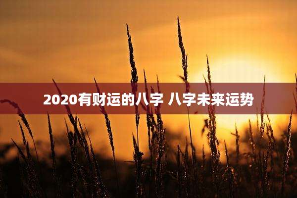 2020有财运的八字 八字未来运势