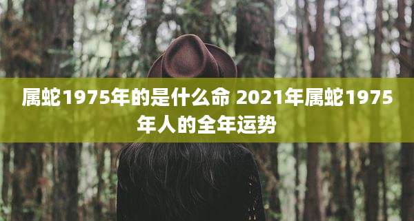 属蛇1975年的是什么命 2021年属蛇1975年人的全年运势