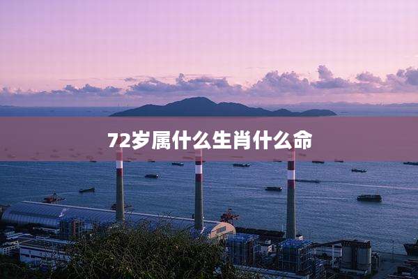 72岁属什么生肖什么命