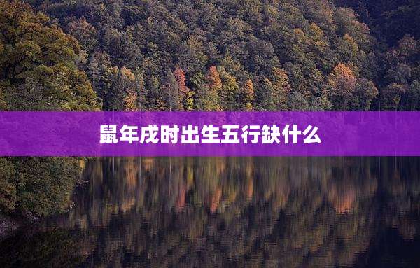 鼠年戌时出生五行缺什么