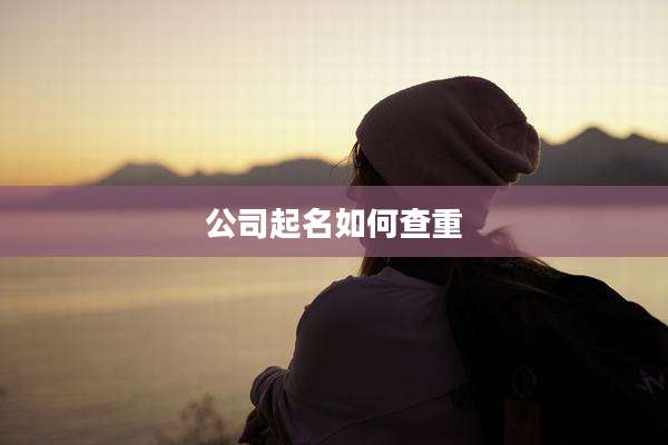 公司起名如何查重
