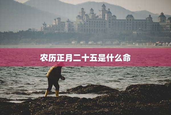 农历正月二十五是什么命