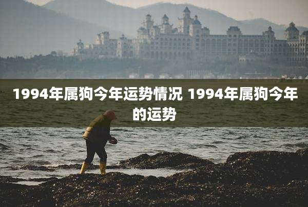 1994年属狗今年运势情况 1994年属狗今年的运势