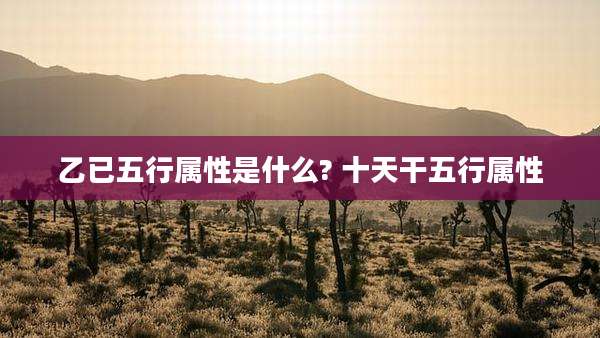 乙已五行属性是什么? 十天干五行属性