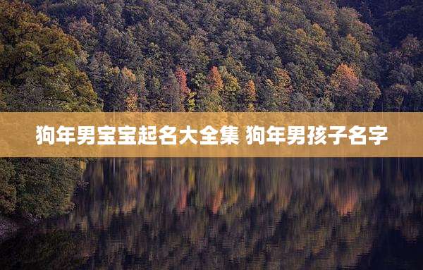 狗年男宝宝起名大全集 狗年男孩子名字