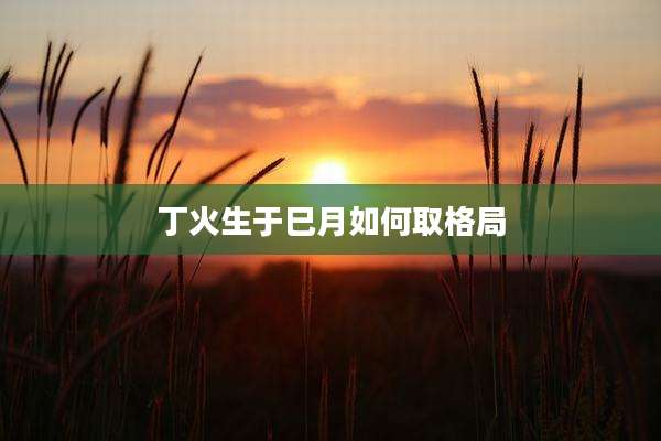 丁火生于巳月如何取格局