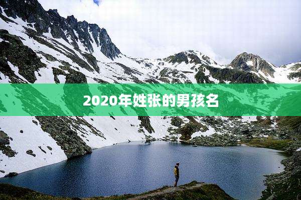 2020年姓张的男孩名