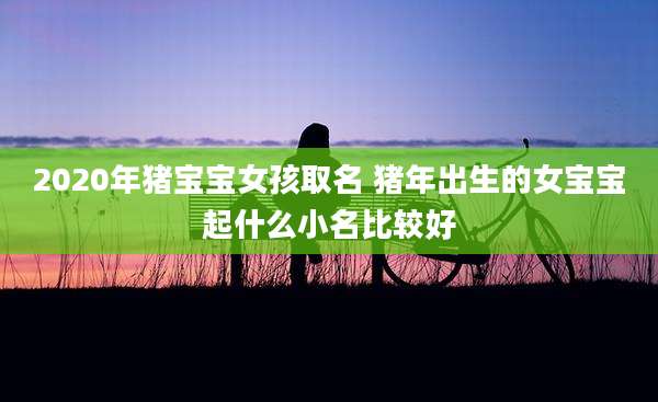 2020年猪宝宝女孩取名 猪年出生的女宝宝起什么小名比较好