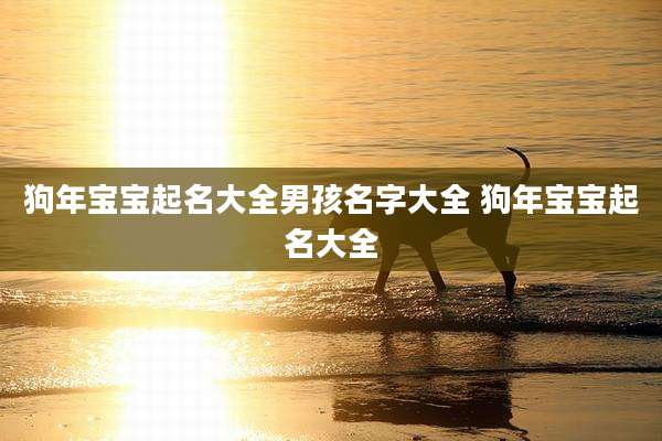 狗年宝宝起名大全男孩名字大全 狗年宝宝起名大全