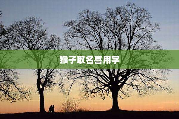 猴子取名喜用字