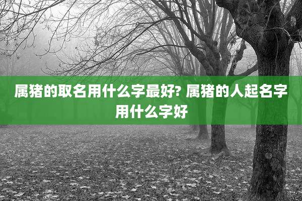 属猪的取名用什么字最好? 属猪的人起名字用什么字好