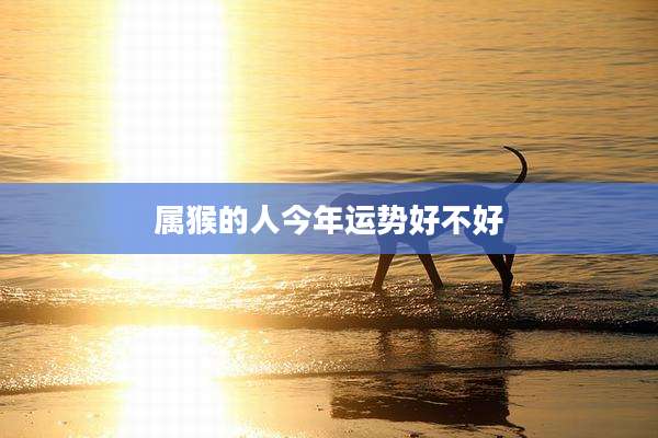属猴的人今年运势好不好