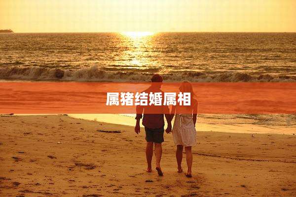 属猪结婚属相